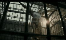Harley Quinn Suicide Squad GIF - Harley Quinn Suicide Squad Girl GIFs