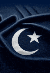a blue flag with a white crescent moon and star