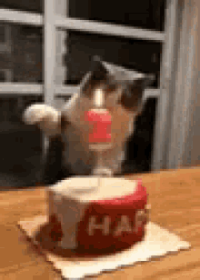 Birthday-cake-on-fire GIFs - Get the best GIF on GIPHY
