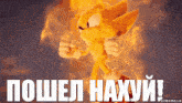 Sonic пошелнахуй GIF - Sonic пошелнахуй мемы GIFs