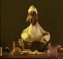 cooking dog
