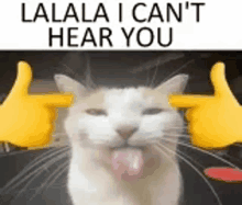Cat Ears GIF - Cat Ears Hearing GIFs