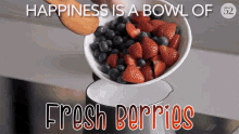 Happiness Is A Bowl Of Fresh Berries Berries GIF - Happiness Is A Bowl Of Fresh Berries Berries Blue Berries GIFs