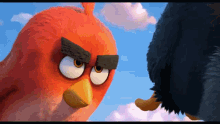 Teasing Angry Birds GIF - Teasing Angry Birds Mad GIFs