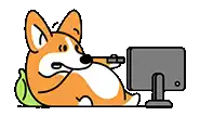 a corgi dog is sitting in front of a computer monitor .