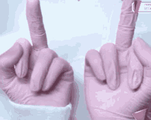 Fallenshadow Shondo GIF - Fallenshadow Shondo Middle Finger GIFs