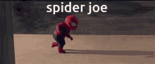 Spider Joe Joe GIF - Spider Joe Joe Hot Outside GIFs