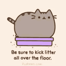 Cat Litter GIF - Cat Litter Floor GIFs