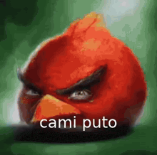 an angry bird with the words cami puto written on it 's face .