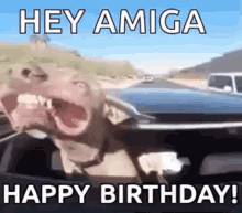 Happy Birthday Dog GIF - Happy Birthday Dog Drive GIFs