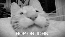 Hop On John GIF - Hop On John GIFs