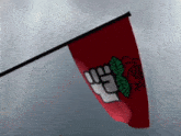Socialist Flag GIF - Socialist Flag GIFs