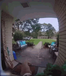 Seb Doorbell GIF - Seb Doorbell GIFs