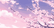 Animated Cherry Blossom Background GIFs | Tenor