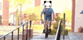 a man wearing a panda mask is riding a bike on a ramp