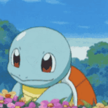 早安 Pokémon GIF - 早安 Pokémon Squirtle GIFs