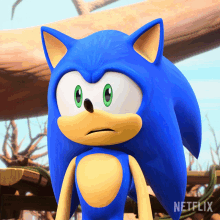 What Sonic The Hedgehog GIF - What Sonic The Hedgehog Sonic Prime GIFs