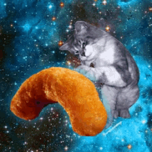 Cat Space GIF - Cat Space Cheeto GIFs