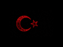 Turk Bayrağı Siyah GIF - Turk Bayrağı Siyah Phanova GIFs
