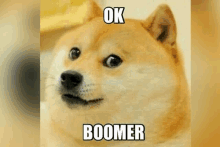 Ok Boomer GIF - Ok Boomer GIFs
