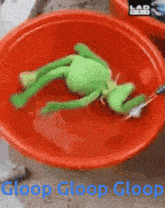 Gloop Kermitgloop GIF - Gloop Kermitgloop GIFs