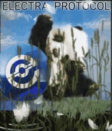 Defi Panda GIF - Defi Panda Xep GIFs