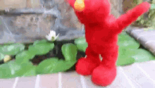 Elmo Fall GIF - Elmo Fall Oops GIFs
