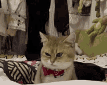 Suss Suspicious GIF - Suss Suspicious Cat GIFs