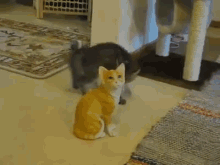 Kitten Fights A Cat Statue GIF - Kittens Cats Cute GIFs