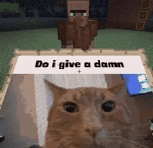 Doigiveadamn Cat GIF - Doigiveadamn Cat Minecraft GIFs