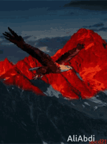 a painting of an eagle flying over a mountain range with the name aliabdi on the bottom