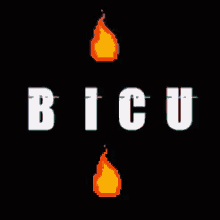 Bicusef Boss GIF - Bicusef Boss Bicu GIFs