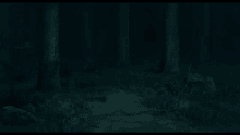 Kikis Delivery Service Forest GIF - Kikis Delivery Service Forest Studio Ghibli GIFs