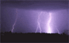 lightning strikes in a purple sky with a silhouette of trees in the foreground