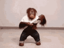 Locomonkey Monkey GIF - Locomonkey Monkey Cute Monkey GIFs