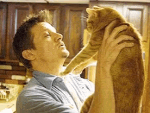 Jeremy Renner Cat GIF - Jeremy Renner Cat Cats GIFs