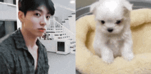Jungkook Jungkook Puppy GIF - Jungkook Jungkook Puppy Puppy Jungkook GIFs