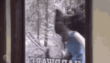 Bear Attack GIF - Bear Attack Woman GIFs