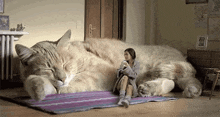 Cat Giant Cat GIF - Cat Giant Cat Big Cat GIFs
