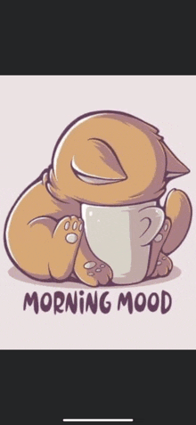 Top Of The Morning Good Morning GIF - Top Of The Morning Morning Good Morning GIFs