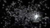 a computer generated image of a tree with lots of branches