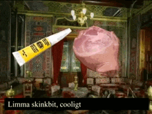 a cartoon of a room with a tube of limma skinkbit