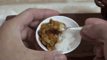 カレーライス　カレー　ミニカレー　ダイエット GIF - Curry Rice Japanese Curry GIFs