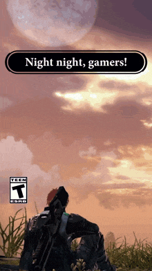 a screenshot of a video game that says ' night night gamers ' on it