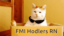 Fmi Fmicoin GIF - Fmi Fmicoin Crypto GIFs