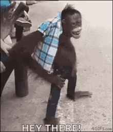 Monkey Hey There GIF - Monkey Hey There GIFs