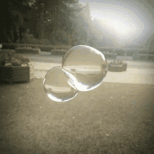 Bubbles GIF