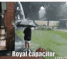 Royal Capacitor Risk Of Rain2 GIF - Royal Capacitor Risk Of Rain2 Lightning Strike GIFs