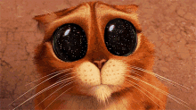 Galaxy Cat GIF - Galaxy Cat Kitten GIFs