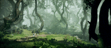 a group of people are walking through a forest
